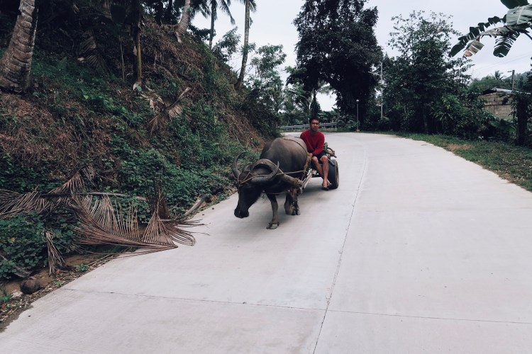 Processed with VSCO with c4 preset