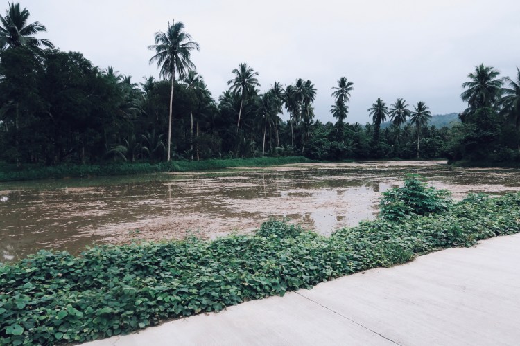 Processed with VSCO with c4 preset