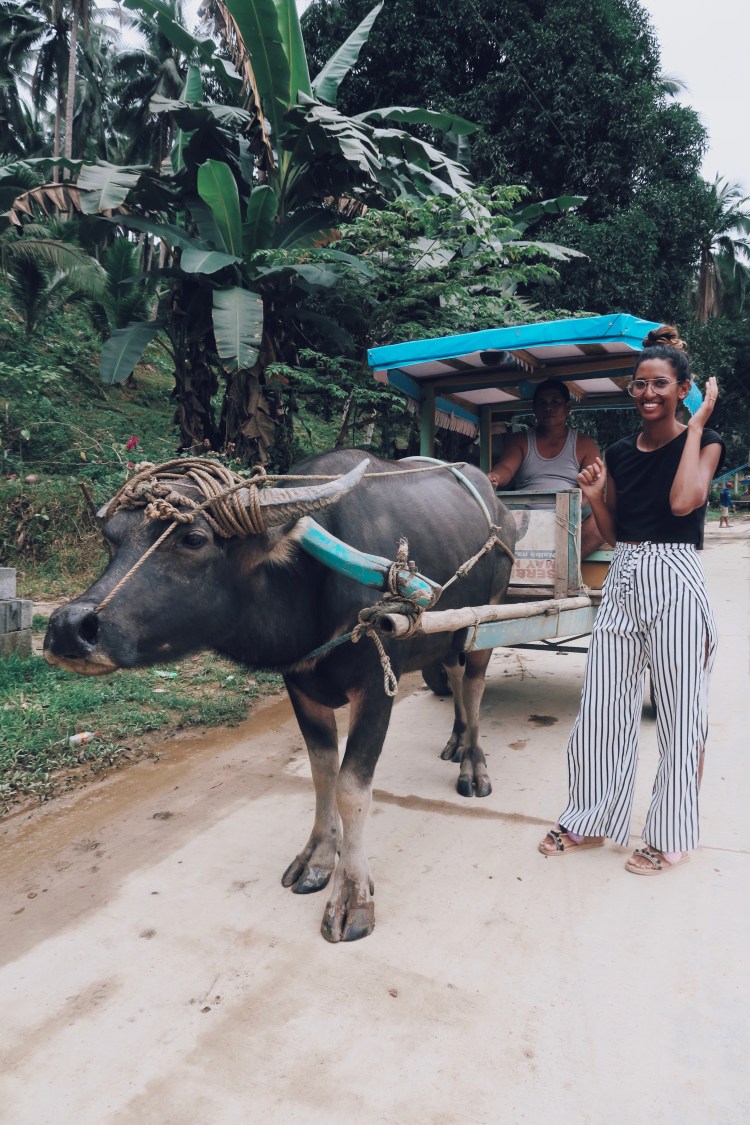 Processed with VSCO with c4 preset