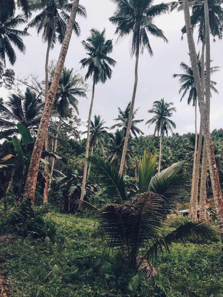 Processed with VSCO with c4 preset