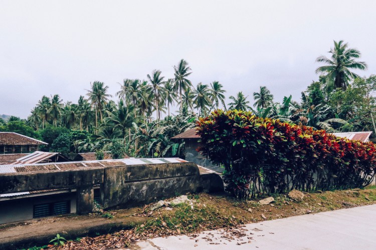 Processed with VSCO with c4 preset