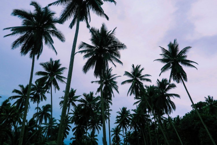 Processed with VSCO with l6 preset