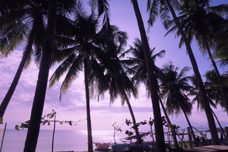 Processed with VSCO with v4 preset