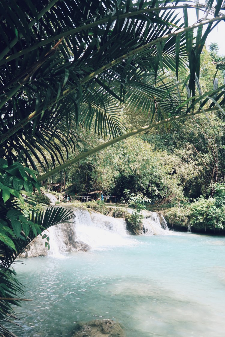 Processed with VSCO with c4 preset