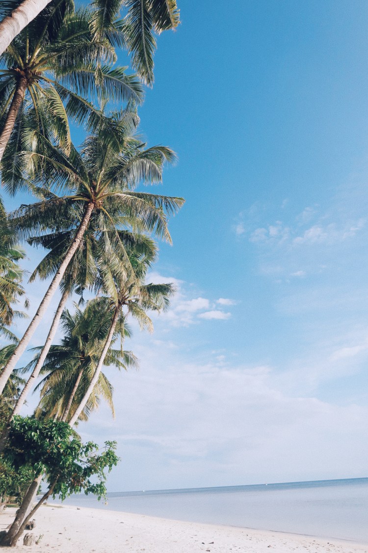 Processed with VSCO with c4 preset