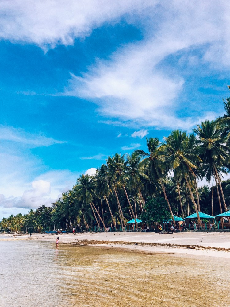 Processed with VSCO with c4 preset