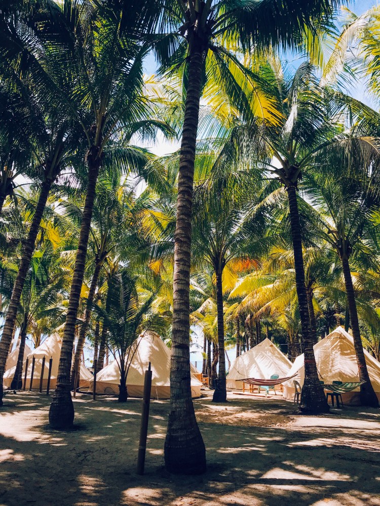 Processed with VSCO with c4 preset