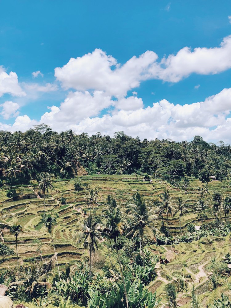 Processed with VSCO with c4 preset