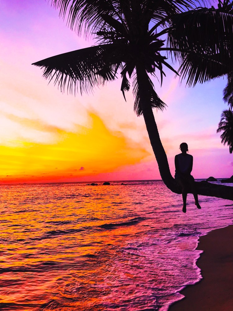 Processed with VSCO with l12 preset